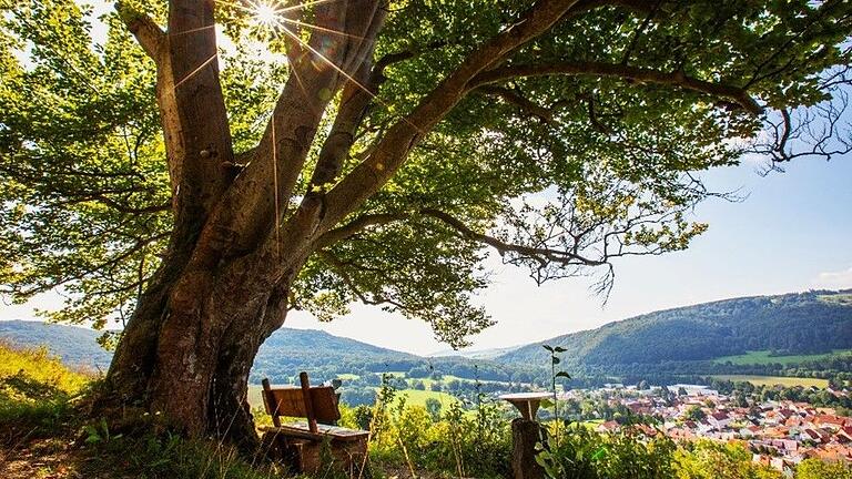 Der Hexenpfad mit seinen malerischen Aussichten über die thüringische Rhön schaffte es bei der Wahl zu Deutschlands schönstem Wanderweg 2024 auf Rang drei.