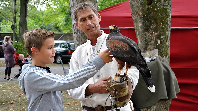 Hingucker beim Kunsthandwerker-Markt in Bad Königshofen: Der Falke ließ sich sogar streicheln - ein besonderes Erlebnis für mutige Kinder.