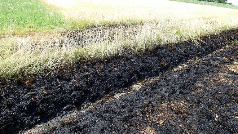 Beim Eintreffen der Feuerwehr hatten die Flammen schon auf das angrenzende Feld übergegriffen.