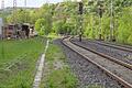 Wird die Werntalbahn (hier ein Archivfoto kurz nach dem ehemaligen Eußenheimer Bahnhof) für den Personenverkehr reaktiviert? Die Bayerische Eisenbahngesellschaft hat mit der Potentialanalyse begonnen.