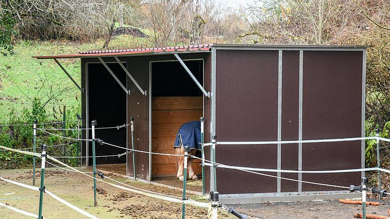 Schwarzbau: Das Würzburger Landratsamt hat entschieden, dass ein Ponystall im Außenbereich der Gemeinde Zell (Lkr. Würzburg) wieder zurückgebaut werden muss. Die Pferdebesitzerin schaltete Staatssekretär Gerhard Eck ein. Schwarzbau: Das Würzburger Landratsamt hat entschieden, dass ein Ponystall im Außenbereich der Gemeinde Zell (Lkr. Würzburg) wieder zurückgebaut werden muss. Die Pferdebesitzerin schaltete Staatssekretär Gerhard Eck ein. 