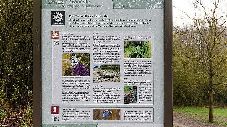 Eine Infotafel weist auf die Tierwelt an der Lehnleite hin. Diese sei aber beim Errichten des Mountainbike-Trails nicht ausreichend beachtet worden, sagen Kritiker. Eine Infotafel weist auf die Tierwelt an der Lehnleite hin. Diese sei aber beim Errichten des Mountainbike-Trails nicht ausreichend beachtet worden, sagen Kritiker.