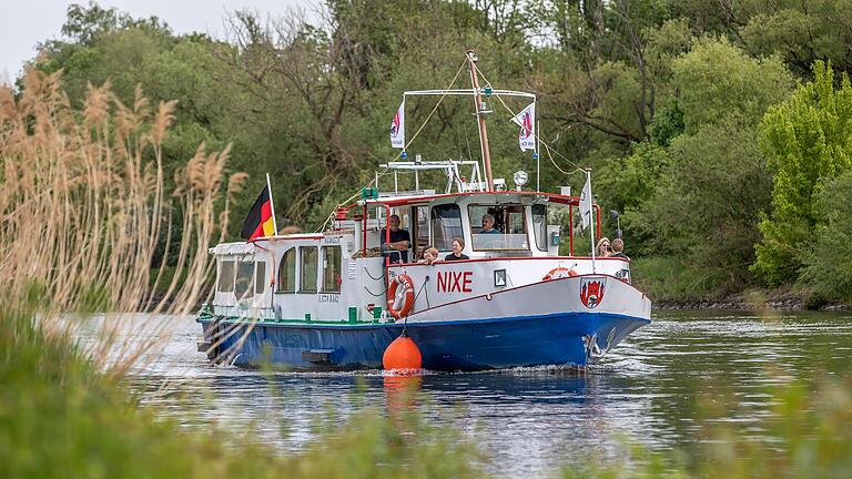 Spontane Panoramafahrten mit der Nixe, wie hier in Richtung Frickenhausen, sind in den Sommermonaten besonders bei Touristen beliebt. Spontane Panoramafahrten mit der Nixe, wie hier in Richtung Frickenhausen, sind in den Sommermonaten besonders bei Touristen beliebt.