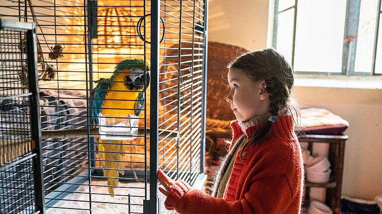 'Kommt ein Vogel geflogen'       -  Papagei Marlene stellt mit seinen Nazi-Parolen eine ganze Familie auf den Kopf.