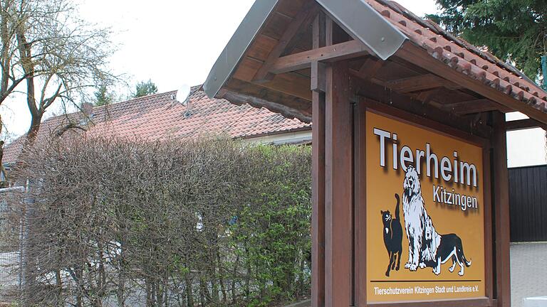 Das Kitzinger Tierheim steht auf einer ehemaligen Kalksteingrube und muss deshalb so schnell wie möglich umziehen. Nach langer und kräftezehrender Suche wurde jetzt am Rande der Stadt in der Nähe des Golfplatzes ein neuer Standort gefunden. Das Kitzinger Tierheim steht auf einer ehemaligen Kalksteingrube und muss deshalb so schnell wie möglich umziehen. Nach langer und kräftezehrender Suche wurde jetzt am Rande der Stadt in der Nähe des Golfplatzes ein neuer Standort gefunden.
