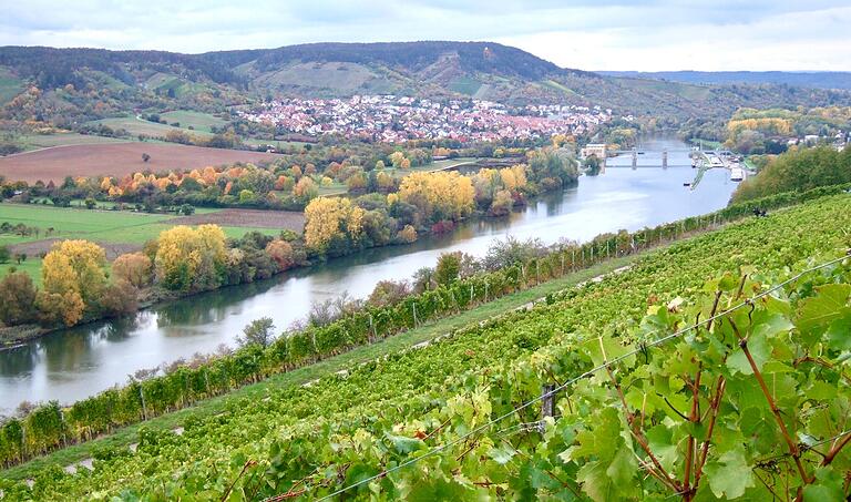 Blick aus den Veitshöchheimer Weinbergen bis nach Erlabrunn. Blick aus den Veitshöchheimer Weinbergen bis nach Erlabrunn.