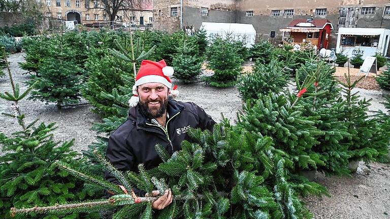Zukunftspläne: Große Pläne gibt es für den Wöllrieder Hof bei Rottendorf. Derzeit verkauft Julian Böck dort Weihnachtsbäume.