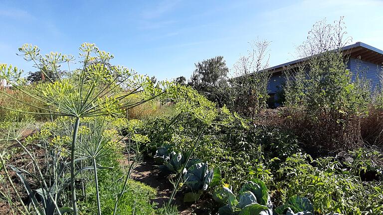 Permakultur im Nutzgarten – Gärtnern im Einklang mit der Natur.