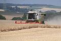 Landwirte in Unterfranken - wie hier in Acholshausen (Lkr. Würzburg) - erwarten heuer eine unterdurchschnittliche Ernte.