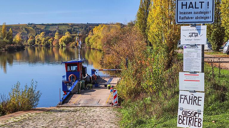 'Fähre Dettelbach außer Betrieb': Weil das inzwischen öfter vorkommt, muss eine neue Fähre her. Womöglich kommt sogar eine Brücke genau an diese Stelle, dafür müsste die Stadt allerdings bis zu zehn Millionen Euro investieren. 'Fähre Dettelbach außer Betrieb': Weil das inzwischen öfter vorkommt, muss eine neue Fähre her. Womöglich kommt sogar eine Brücke genau an diese Stelle, dafür müsste die Stadt allerdings bis zu zehn Millionen Euro investieren. 