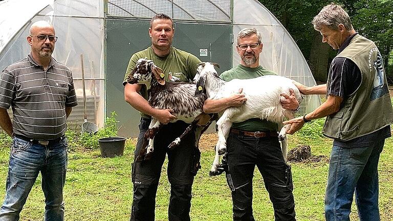 kg-emue-ovambo (4)       -  Zwei der Jungtiere, die Hans-Joachim Mayer (links) bei dem &bdquo;Bock-Tausch&ldquo; gleich auch mit aus dem Zoo mitgenommen hat.