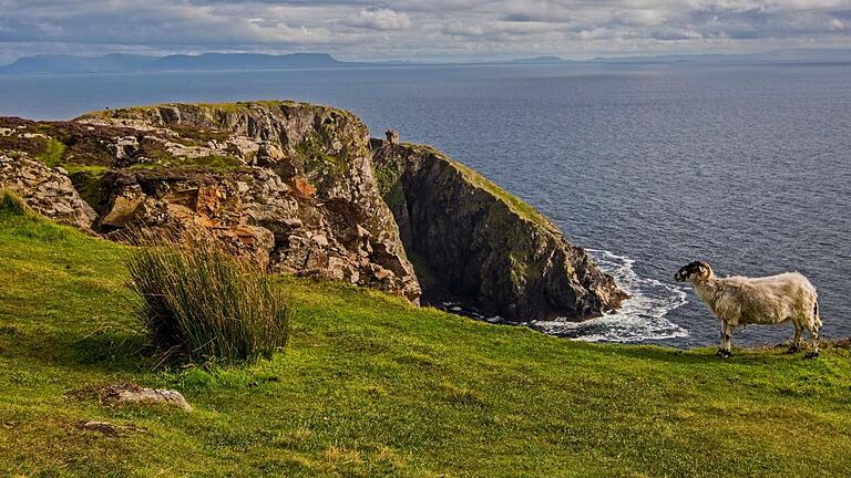 Irland: Abenteuer zwischen Schafen, Moos und verfallenen Ruinen.