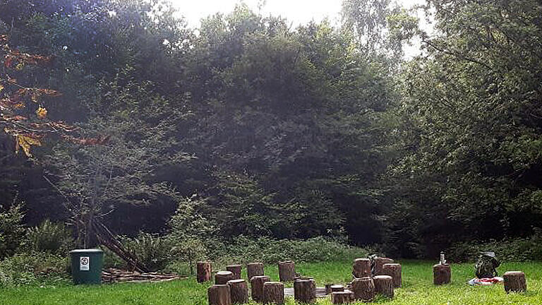 Der Trekkingplatz Rothenbuch 2 liegt auf einer Lichtung.