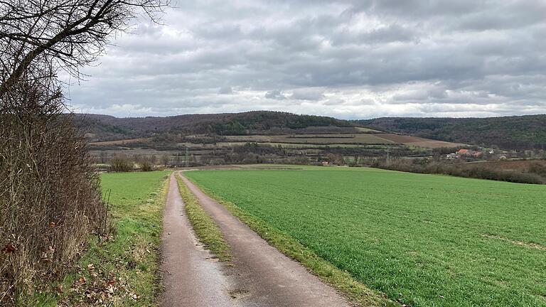 Der Blick vom Karlstadter Saupurzel auf die Hermannsleite. Rechts im Bild ist Schönarts. Richtet man den Blick entlang des Feldwegs auf die Hermannsleite, stößt man in etwa auf die Trasse, die für die B 26n geplant ist.