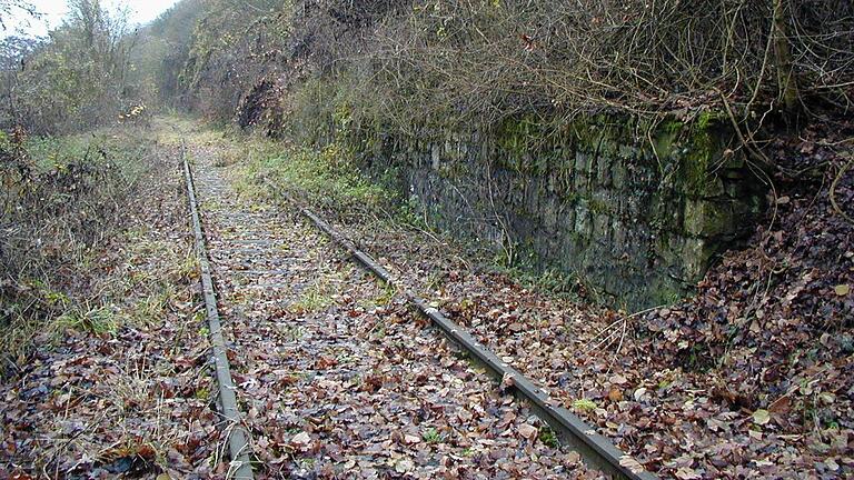  Der Gleiskörper unterhalb der Vogelsburg Ende des Jahres 2000 entlang der damals stillgelegten Volkacher Bahnstrecke. Der Gleiskörper unterhalb der Vogelsburg Ende des Jahres 2000 entlang der damals stillgelegten Volkacher Bahnstrecke.