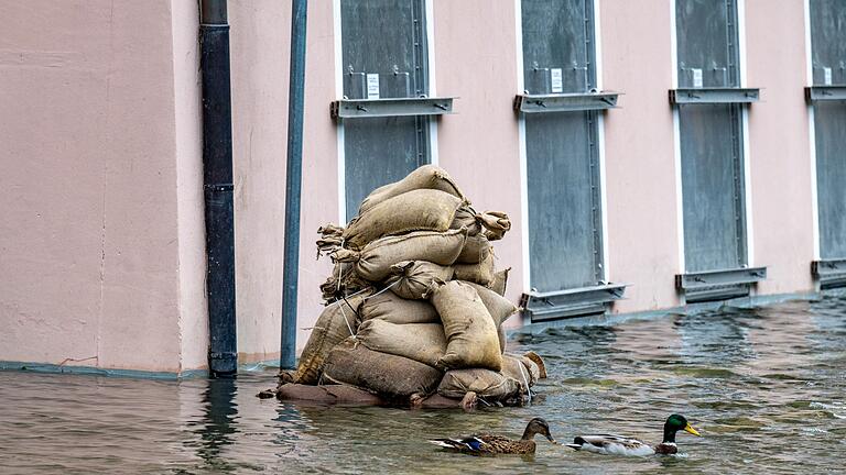 Hochwasser in Passau       -  Noch ist es ungewiss, wie sich die Hochwasserlage in Passau entwickeln wird.