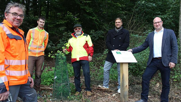 Bei der Eröffnung des neuen Waldklimapfades waren dabei (von links): Bauhof-Leiter Roland Ortloff, Forstwirt Valentin Hofmann, Förster a.D. Reinhard Landgraf, Initiator Sebastian Landgraf und Bürgermeister Tobias Seufert.