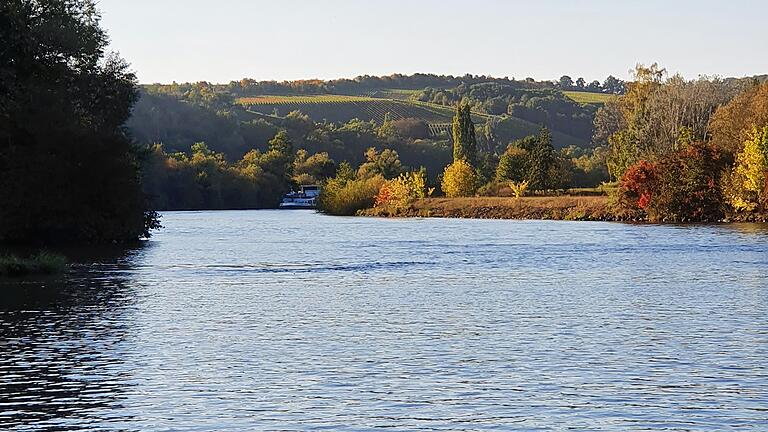 Blick auf die Weinberge in Untereisenheim im Landkreis Würzburg: Eine Machbarkeitsstudie soll prüfen, ob es sinnvoll ist, dem Main im Winter Wasser zu entnehmen und im Sommer zur Bewässerung einzusetzen.