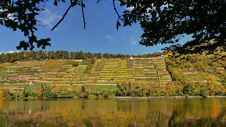 Am Sonntag werden die Türen der Winzerhütte 'Kalbenstein' geöffnet sein.
