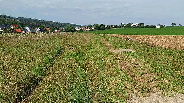 Von diesem Bereich in Tiefenthal oberhalb der Kreuzstraße aus überflutet das Wasser bei Starkregen unkontrolliert Grundstücke und Häuser.