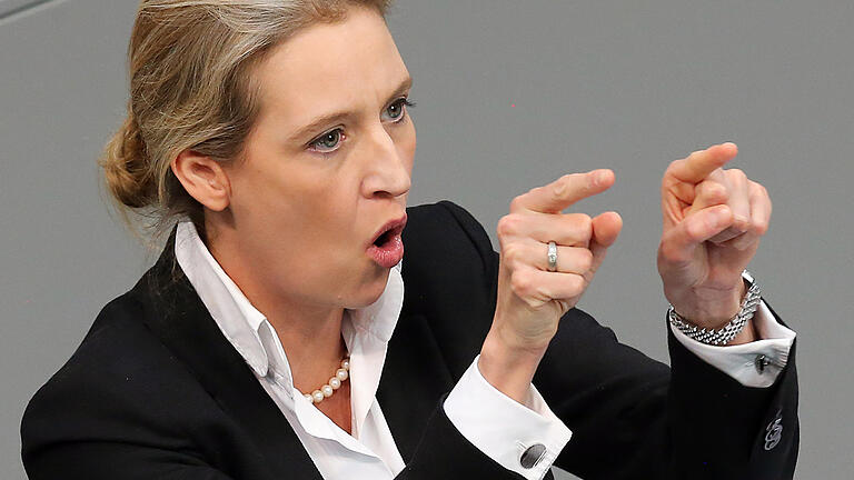 Bundestag       -  AfD-Politikerin Alice Weidel wünscht sich eine neue Medienlandschaft und wollte dafür von Steve Bannon lernen.