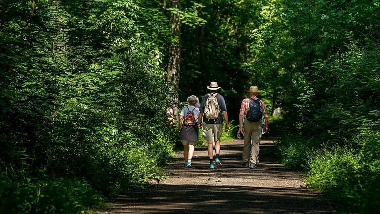 Wer aktiv sein will, kann am Wochenende das schöne Wetter genießen – bei einer Wanderung auf dem 'Kleinen Auenwald-Achter' in Schweinfurt. Wer aktiv sein will, kann am Wochenende das schöne Wetter genießen – bei einer Wanderung auf dem 'Kleinen Auenwald-Achter' in Schweinfurt.