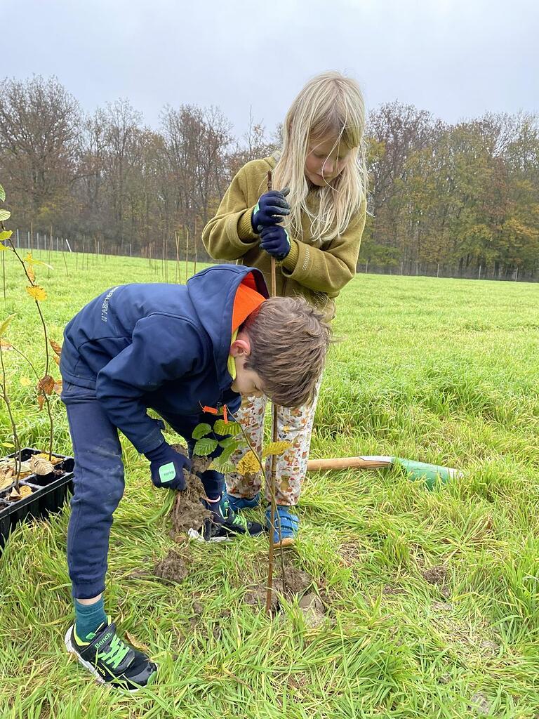 Hochmotivierte Grundschüler pflanzen den Zukunftswald.