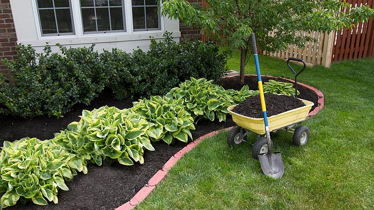 Mulchen sorgt nicht nur optisch für einen ansprechenden Garten, auch für die Bodenbeschaffenheit kann das Aufbringen von Mulch vorteilhaft sein.