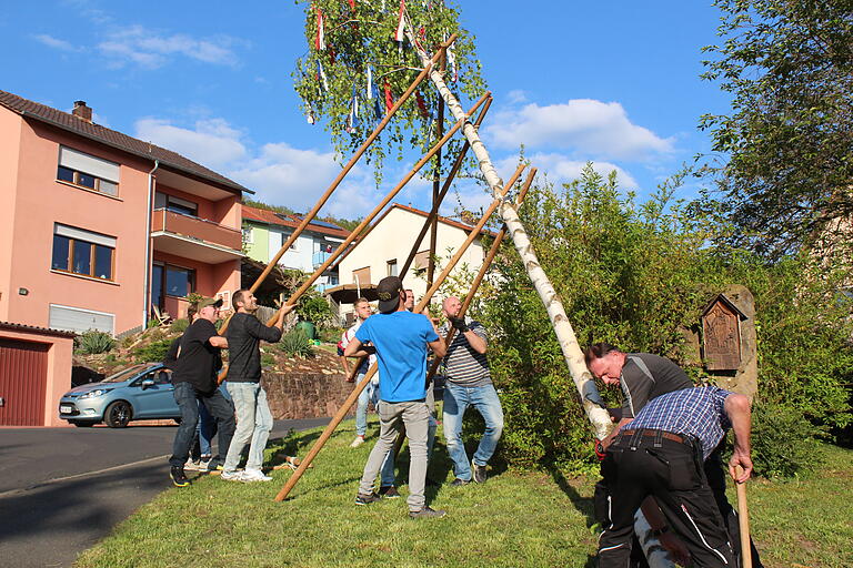 Siedler beim Maibaumaufstellen