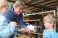 Fünf junge Katzen wurden jüngst vom Tierschutzhof in Großeibstadt bei Thomas Draxler in Obhut genommen.&nbsp;