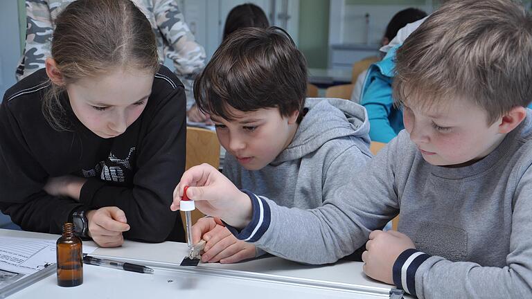 Ein Schüler drückt vorsichtig einen Wassertropfen aus einer Pipette auf eine rußbeschichtete Glasplatte: Die sechsten Klassen am Matthias-Grünewald-Gymnasium gaben bei einer Bionik-Veranstaltung ihr Wissen an die vierten Klassen der Grundschule am Schloss weiter. Ein Schüler drückt vorsichtig einen Wassertropfen aus einer Pipette auf eine rußbeschichtete Glasplatte: Die sechsten Klassen am Matthias-Grünewald-Gymnasium gaben bei einer Bionik-Veranstaltung ihr Wissen an die vierten Klassen der Grundschule am Schloss weiter.