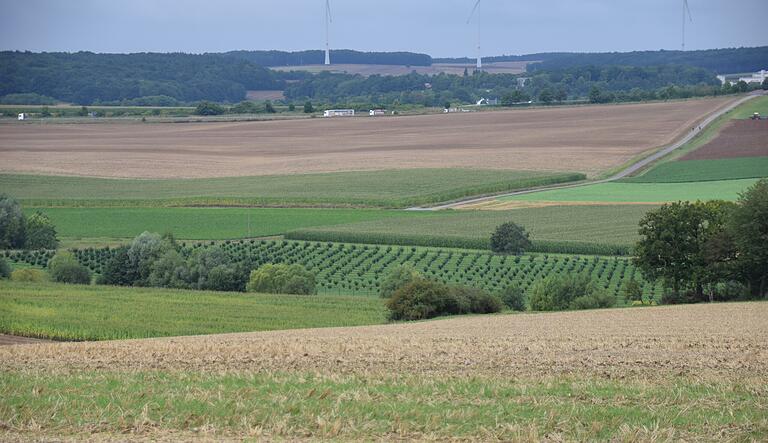 Drei Hektar groß ist die neu angelegte Plantage für die Bio-Haselnussbäume im Werngrund bei Pfersdorf. Drei Hektar groß ist die neu angelegte Plantage für die Bio-Haselnussbäume im Werngrund bei Pfersdorf.