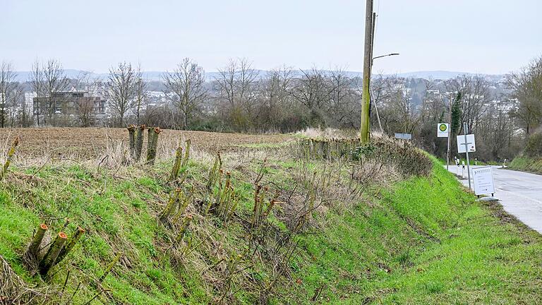 Die Straßenbahnerweiterung an den Uniklinken in Würzburg  zu ZIM und ZOM wird gegenüber des  Hans-Brandmann-Weges in der Oberdürrbacher Straße durch Rodungen vorbereitet.