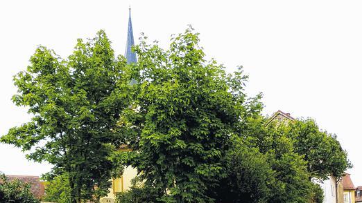 Für mehr Verkehrssicherheit im Bereich &bdquo;Gartenstraße/Am Rathaus&ldquo;, wir die marode Friedhofsmauer zurückgesetzt.