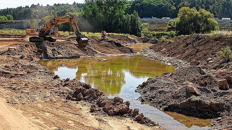 Der bisherige Flusslauf des Mains bei Ebing (Lkr. Bamberg) wird zum Altwasserarm mit aufgeschütteten Inseln umgestaltet.