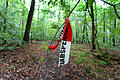 Fundstelle Entführungsopfer       -  ARCHIV - 18.06.2015, Bayern, Kist: Reste von Absperrbändern der Polizei liegen in einem Wald bei Kist (Bayern). In dem Waldstück wurde ein entführter 50-jähriger Mann aufgefunden. Der Unternehmer Würth zählt zu den reichsten Deutschen. Jetzt wurde sein Sohn entführt, später aber in dem Wald wohlbehalten gefunden. Lösegeld soll nicht geflossen sein. (zu dpa «Tatverdächtiger nach Entführung von Milliardärssohn festgenommen» vom 14.03.2018) Foto: Karl-Josef Hildenbrand/dpa +++(c) dpa - Bildfunk+++ | Verwendung weltweit
