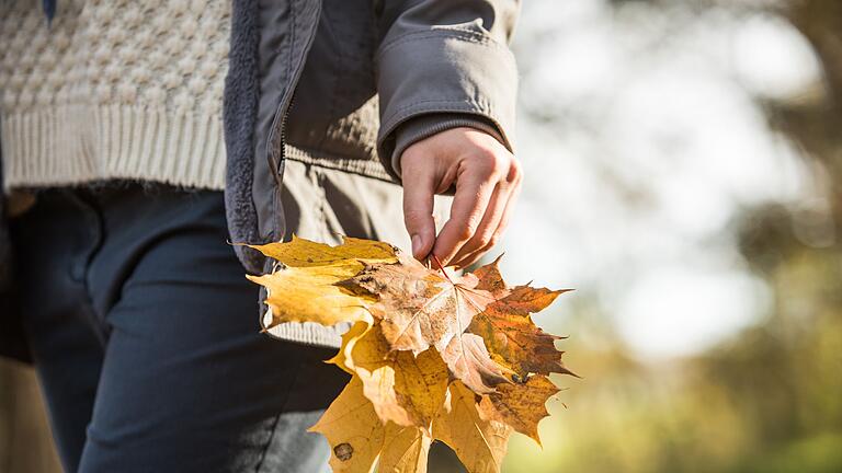 Eine Frau macht einen Herbstspaziergang       -  Gesunde Alltagsroutinen: Regelmäßige Bewegung an der frischen Luft hilft, das Immunsystem zu unterstützen.