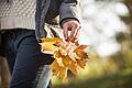 Eine Frau macht einen Herbstspaziergang       -  Gesunde Alltagsroutinen: Regelmäßige Bewegung an der frischen Luft hilft, das Immunsystem zu unterstützen.