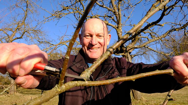 Georg Hansul war viele Jahre lang Fachberater für Gartenkultur und Landespflege am Landratsamt Rhön-Grabfeld. Er weiß, worauf es beim Obstbaumschnitt ankommt.