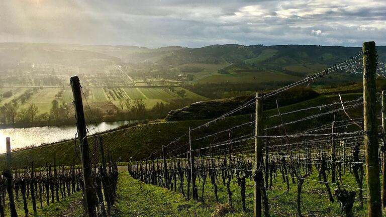 Zwischen Veitshöchheim und Thüngersheim (Lkr. Würzburg) brauen sich dunkle Wolken zusammen. Der Blick auf die Grundwasserstände in Bayern fällt nach dem schneearmen Winter ernüchternd aus.