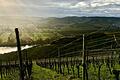 Zwischen Veitshöchheim und Thüngersheim (Lkr. Würzburg) brauen sich dunkle Wolken zusammen. Der Blick auf die Grundwasserstände in Bayern fällt nach dem schneearmen Winter ernüchternd aus.