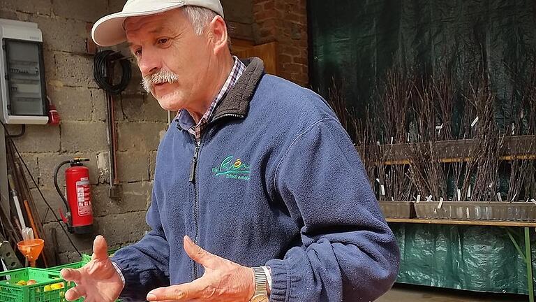 Adam Zentgraf hatte allerhand zu tun während der Edelreiserbörse in Hausen. Im Hintergrund fein aufgereiht die verschiedenen Sorten Edelreiser. Adam Zentgraf hatte allerhand zu tun während der Edelreiserbörse in Hausen. Im Hintergrund fein aufgereiht die verschiedenen Sorten Edelreiser.