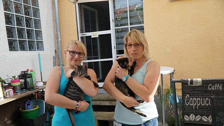Inge Richter (rechts) kümmert sich mit ihrer Familie, darunter Tochter Melissa, um herrenlose Katzen in Mottgers.       -  Inge Richter (rechts) kümmert sich mit ihrer Familie, darunter Tochter Melissa, um herrenlose Katzen in Mottgers.