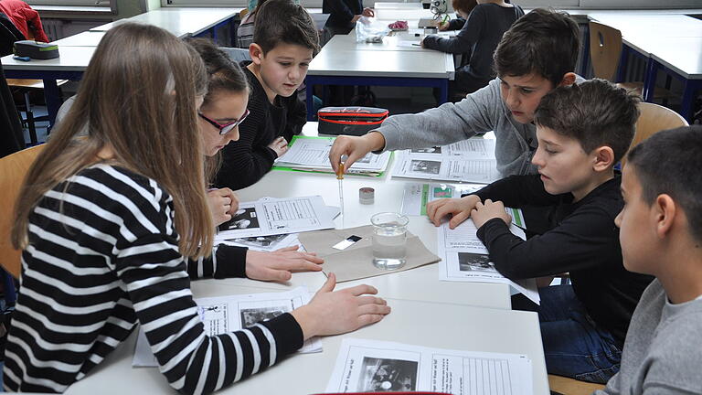 Den Lotos-Effekt untersuchter Tauberbischofsheimer Grundschüler und Gymnasiasten bei einer Kooperationsveranstaltung beider Schulen. Den Lotos-Effekt untersuchter Tauberbischofsheimer Grundschüler und Gymnasiasten bei einer Kooperationsveranstaltung beider Schulen.