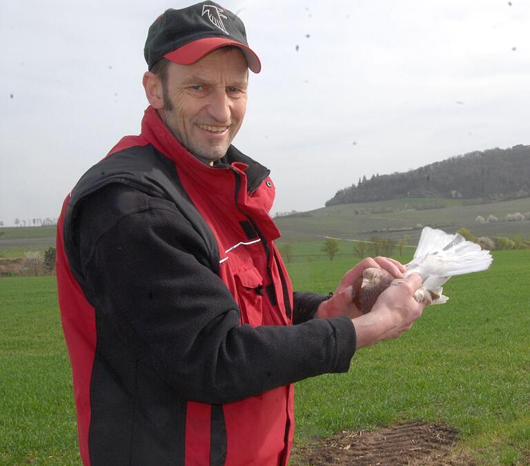 Diese Taube, die Detlef Gruschke in seinen Händen hält, ist ein Täuberich und deswegen wichtig für seine Zucht. Diese Taube, die Detlef Gruschke in seinen Händen hält, ist ein Täuberich und deswegen wichtig für seine Zucht.