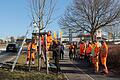 An der Baumreihe in der Meininger Straße in Mellrichstadt: Kreisfachberater Georg Hansul zeigt Bauhof-Mitarbeiter Andreas Stapf die Stelle für den richtigen Schnitt am Feldahorn-Baum.