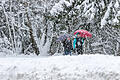 Mancherorts kommt der Winter in Bayern derzeit mit Macht. In neun Tipps erklären wir, wie Arbeitnehmer, Hausbesitzer und Mieter trotz Frost und Schnee Ärger vermeiden.