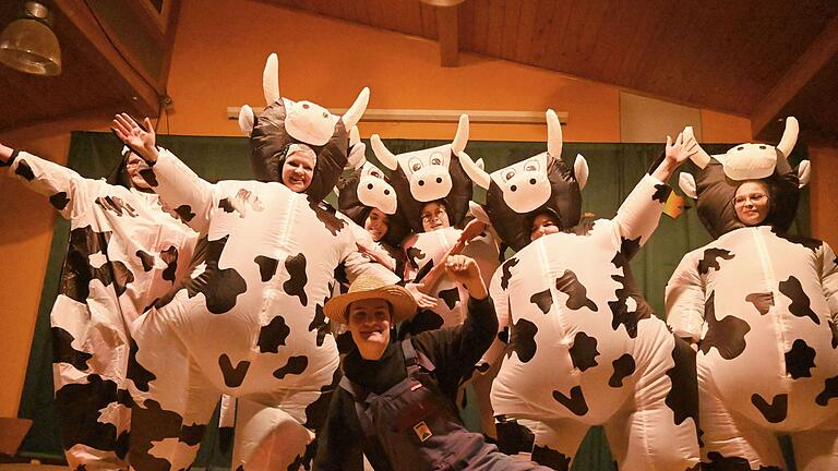 Eindrücke von der Faschingssitzung in Schallfeld.