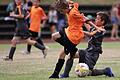 Jahrzehntelang war der SV Wildflecken eine weithin beachtete Rhöner Talentschmiede in Sachen Fußball (Archivbild Peter-Manger-Gedächtnisturnier 2018). Jetzt ist der Traditionsverein in eine schwere Krise gestürzt.       -  Jahrzehntelang war der SV Wildflecken eine weithin beachtete Rhöner Talentschmiede in Sachen Fußball (Archivbild Peter-Manger-Gedächtnisturnier 2018). Jetzt ist der Traditionsverein in eine schwere Krise gestürzt.