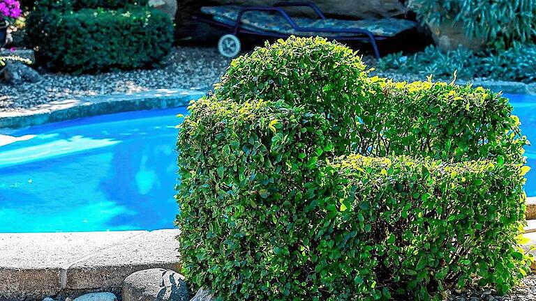 Für den gelernten Raumausstatter Kohlhepp ist sein Garten ein Wohnzimmer zum Wohlfühlen. Für den gelernten Raumausstatter Kohlhepp ist sein Garten ein Wohnzimmer zum Wohlfühlen.
